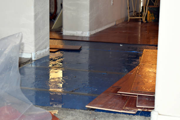 Professional Burst Pipe Cleanup technician working in Saugatuck, MI